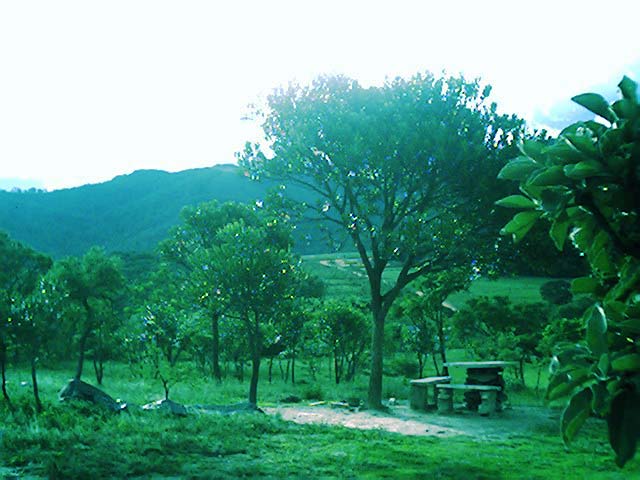 Vista geral de um �ngulo do s�tio. Clique para ampliar a imagem.