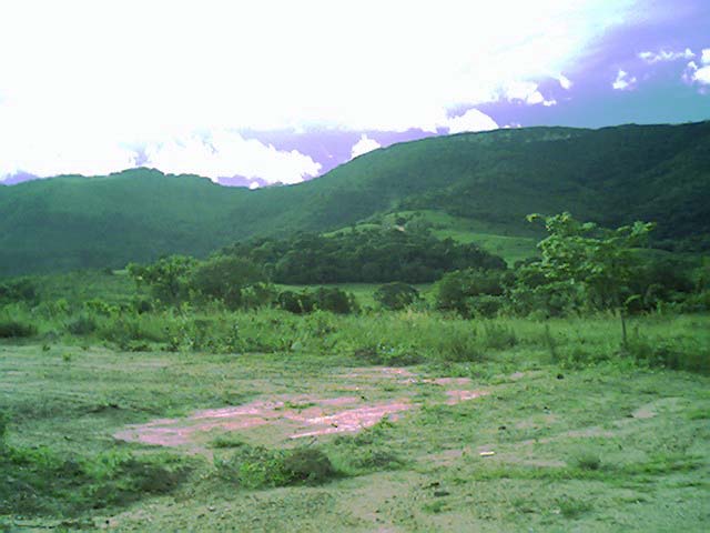 Outra vista do s�tio. Clique para ampliar a imagem.